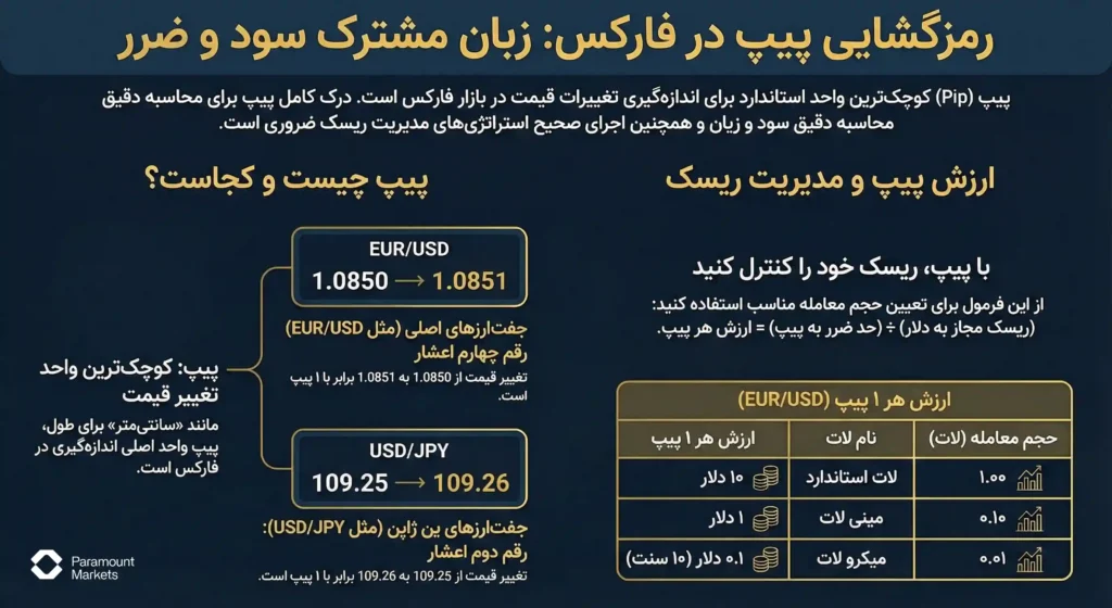 اینفوگرافیک جامع پیپ (Pip) در فارکس؛ تعریف کوچک‌ترین واحد تغییر قیمت، تفاوت محاسبه در جفت‌ارزهای ین ژاپن و جدول ارزش هر پیپ در لات‌های استاندارد، مینی و میکرو